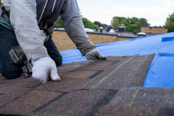 Best New Roof Installation  in York, NE